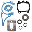 Gasket Set Replaces 4224 007 1012