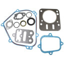 Gasket Set Briggs & Stratton 798540