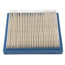 Air Filter Briggs & Stratton 399877S