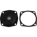 Diaphragm Kit Tecumseh 631069