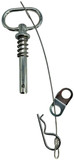 Scag OEM 484168 PIN ASSY, ROPS HINGE