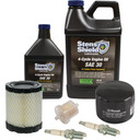 Engine Maintenance Kit Briggs & Stratton 84002316