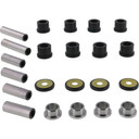 Rear Independent Suspension Kit