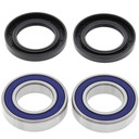 Wheel Bearing and Seal Kit