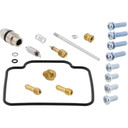Carburetor Rebuild Kit