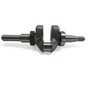 Stock Animal Crankshaft