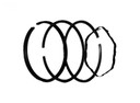 Ring Piston Set (+030) Fits B&S