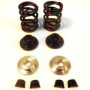 Dual Valve Spring Kit for Briggs 5HP Raptor