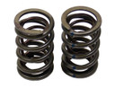 GX390 Dual Valve Spring Set