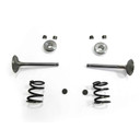 Stainless Steel Valve Kit Predator 212 Hemi - Predator 224 NON-Hemi