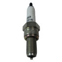 Denso Briggs World Formula Spark Plugs - 3/4'' - 22 Heat