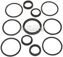 2311624 Hyster Packing Cylinder Kit