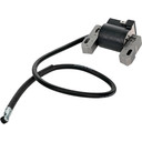 Solid State Module / Fits Briggs & Stratton 398811