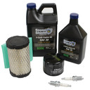 Engine Maintenance Kit / Fits Briggs & Stratton 5136B