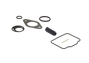 Briggs Animal LO206 555605 PZ22 Carburetor Overhaul Kit