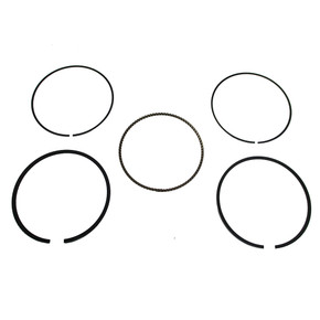 Predator 301cc Piston Rings Predator 301cc Piston Rings