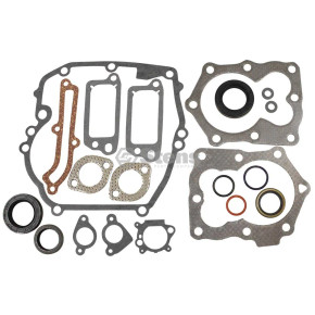Gasket Set Briggs & Stratton 590508