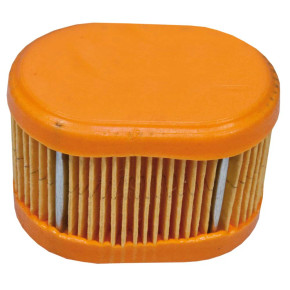Air Filter Briggs & Stratton 790166