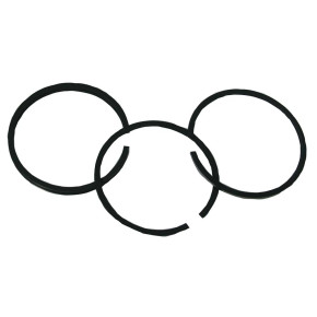 Piston Rings STD Briggs & Stratton 298982