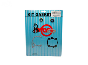 GASKETE SET WITH SEALS Replaces : 4238-007-1003