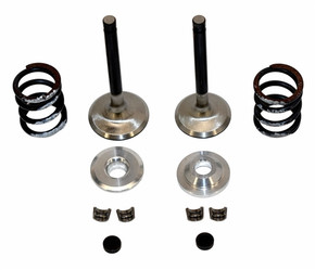 Valve & Spring Package, Stainless Steel, GX390 with Single Springs