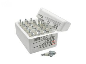 SPARK PLUG CHAMPION RCJ6Y SHOP PACK