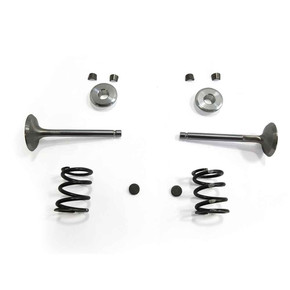 Stainless Steel Valve Kit Predator 212 Hemi - Predator 224 NON-Hemi