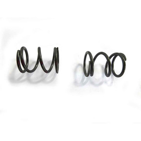 (2) Pack of 36Lb Valve Springs (2) Pack of 36Lb Valve Springs