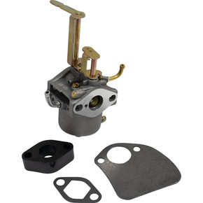 Carburetor / Fits Toro 119-1980