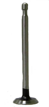555077 B&S, Exhaust Valve, Flathead