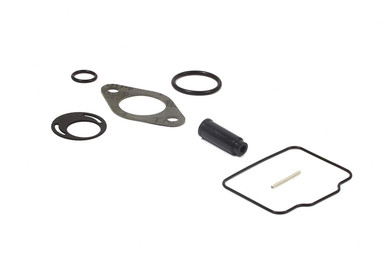 Briggs Animal LO206 555605 PZ22 Carburetor Overhaul Kit