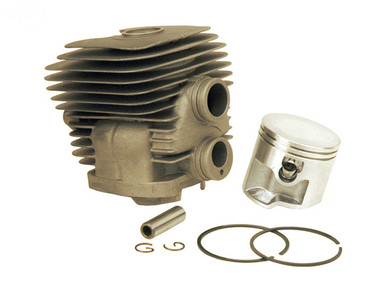 Cylinder & Piston Assy