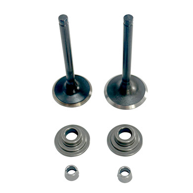 Valve Set, Predator 212 Non-Hemi with 5mm Stems