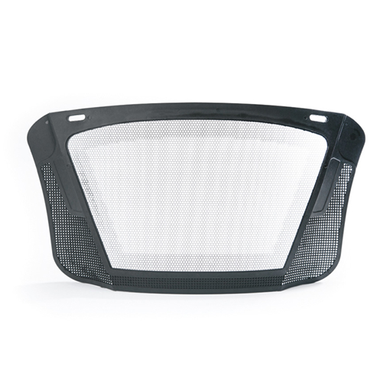 Etched Steel Visor For FUNCTION & ProMark™ Helmet Systems