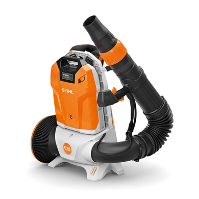 BGA 300