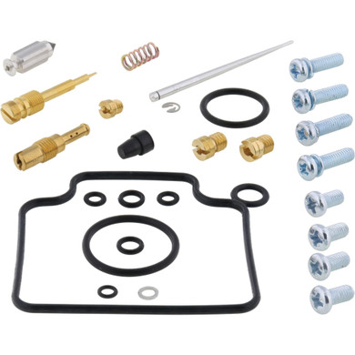 Carburetor Rebuild Kit