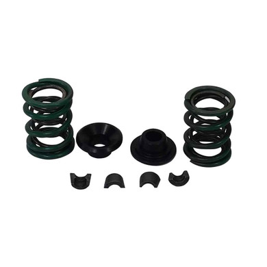 42# Dual Valve Spring Kit For 5.5mm Stemmed Valves