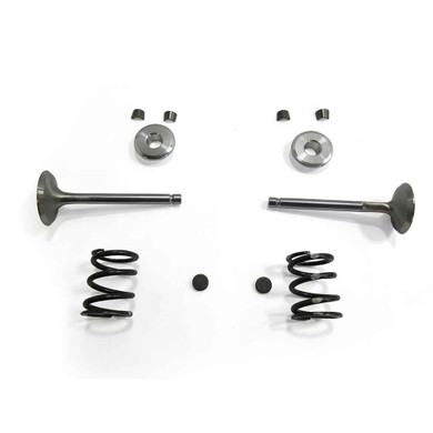 Stainless Steel Valve Kit Predator 212 Hemi - Predator 224 NON-Hemi