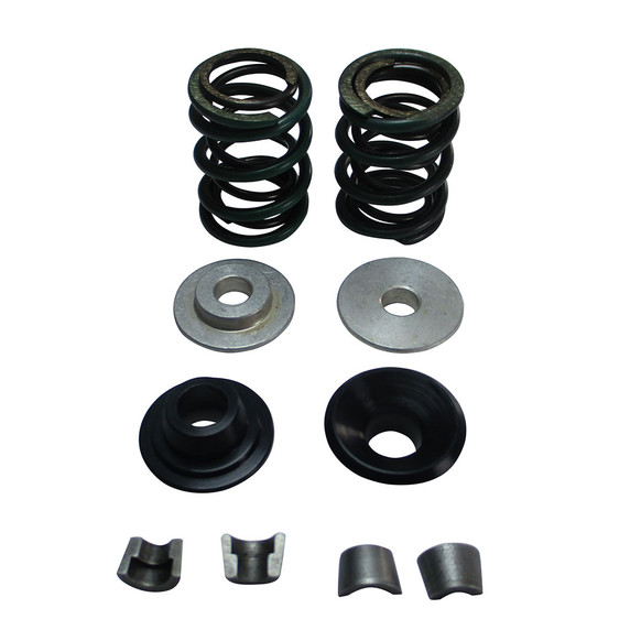36lb Dual Valve Spring Set with Hardware, Flathead
