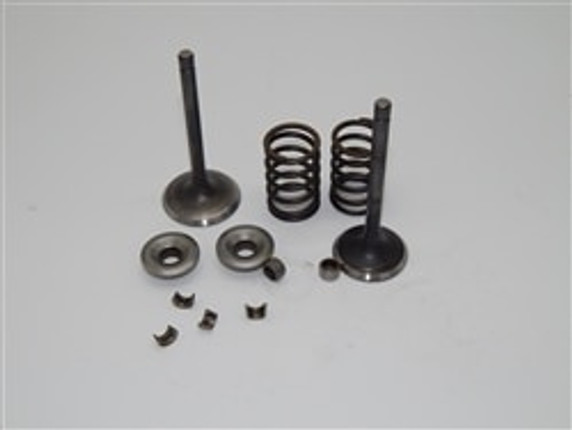 Valve Set, Predator 420, 38/34mm Valves