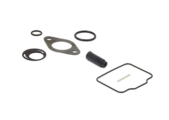 Briggs Animal LO206 555605 PZ22 Carburetor Overhaul Kit