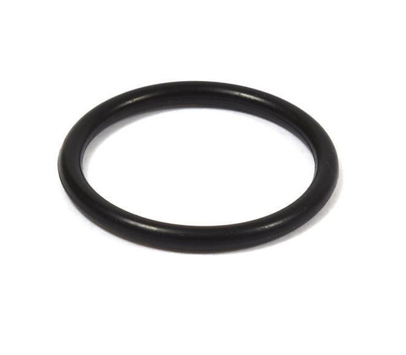 Briggs Animal LO206  555601 O-Ring Seal