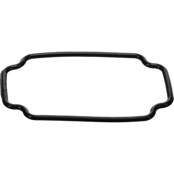 2" X 3" Mojave Replacement O-Ring Replacement O-Ring for TLM2X3, Mojave Light