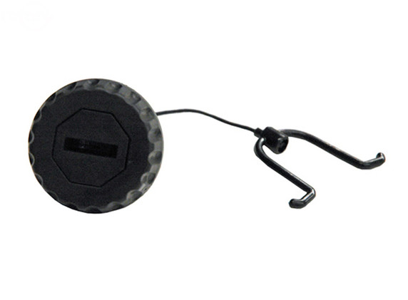 Fuel Cap Replaces