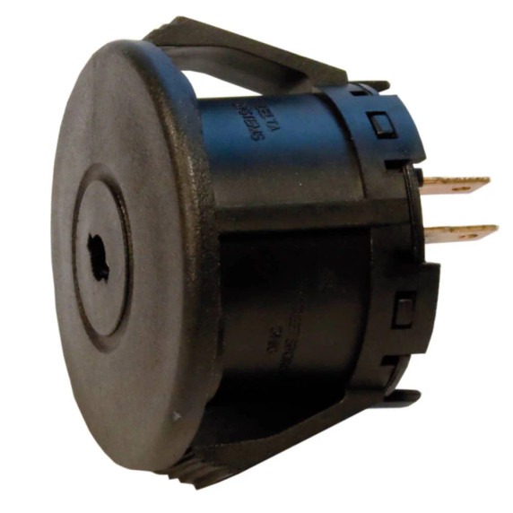 Ignition Switch MTD 725-1979