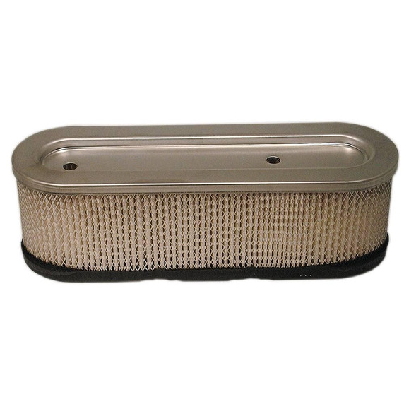 Air Filter Briggs & Stratton 399806S