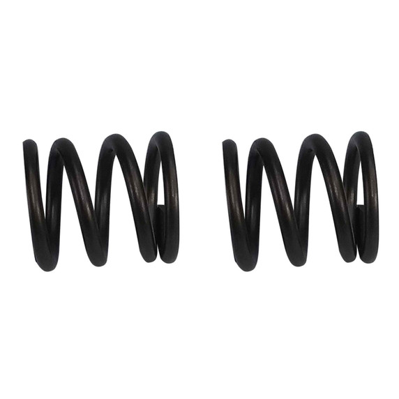 18# Valve Springs Predator 212 Hemi