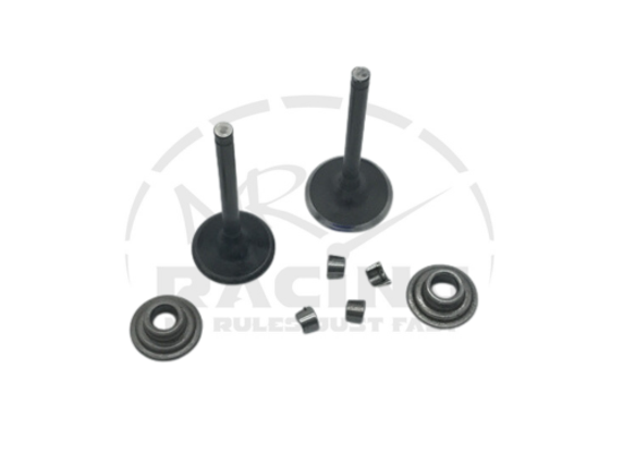 Valve Set, Predator 212 Non-Hemi with 5mm Stems