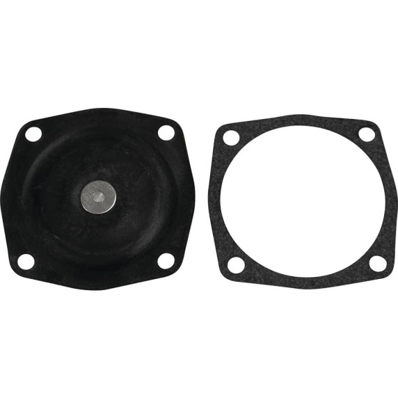 Diaphragm Kit Tecumseh 631069