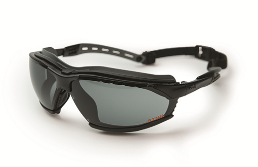 Adjustable Goggles smoke lens / black frame